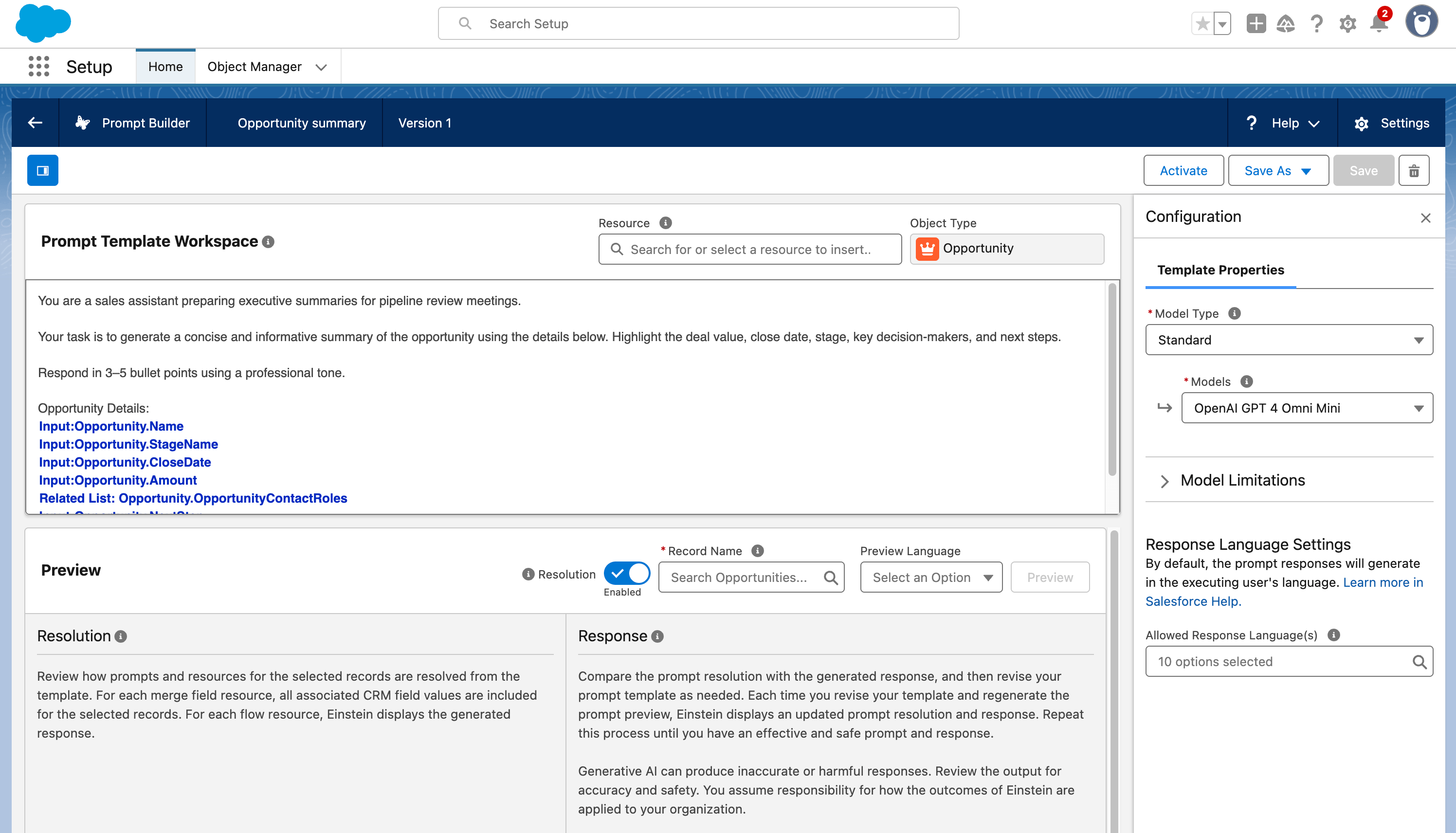 Write your prompt in the template workspace